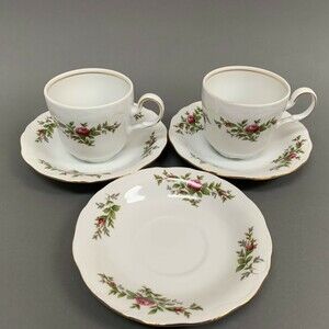 Johann Haviland Moss Rose Cups & Saucers Sets Transitions Fine China Lot of 5 Pc